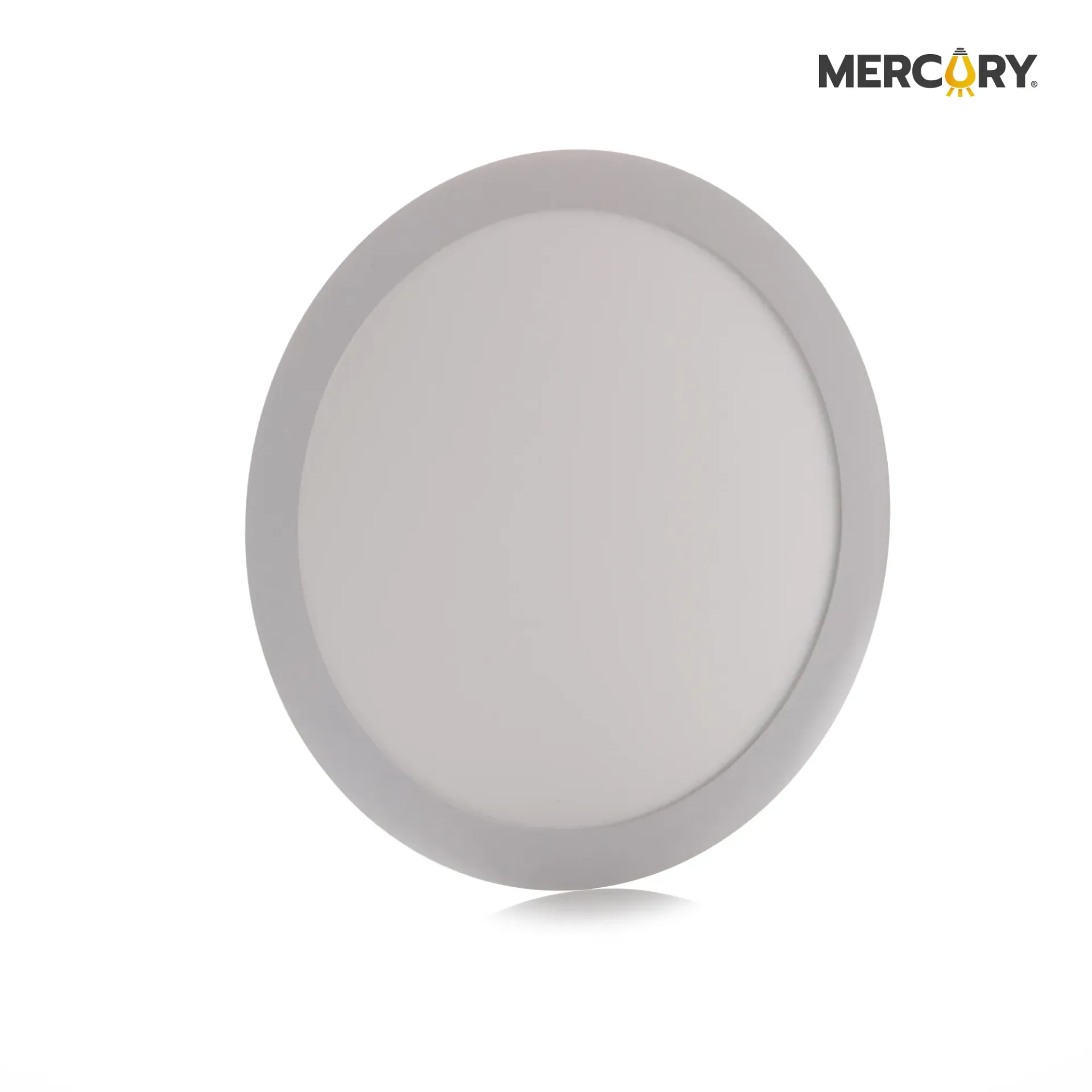 Panel LED Redondo Incrustar 24W 10 Pulgadas 6500K - Mercury Promax IPL07